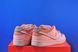 Кросівки Nike Sb Dunk Low Pro Premium Trocadero Gardens FV5926-200 FV5926-200 фото 3