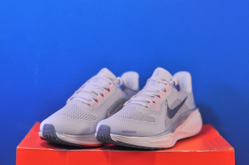 Кросівки Nike Air Zoom Pegasus 41 FD2723-007 FD2723-007 фото