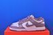Кросівки Nike Dunk Low Brown/White DV0833-112 DV0833-112 фото 1