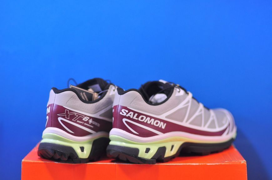 Кросівки Salomon XT 6 Gore-Tex 479916 479916 фото