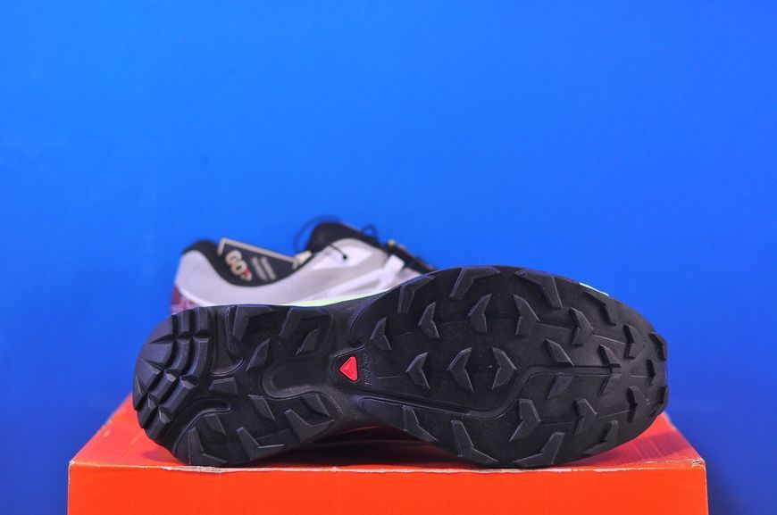 Кросівки Salomon XT 6 Gore-Tex 479916 479916 фото