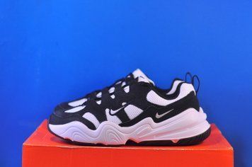 Кросівки Nike Tech Hera FJ9532-101 FJ9532-101 фото