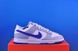 Кросівки Nike Dunk Low Nby FJ2253-900 FJ2253-900 фото 3