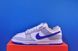 Кросівки Nike Dunk Low Nby FJ2253-900 FJ2253-900 фото 1