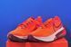 Кросівки Nike Zegama 2 FD5190-800 FD5190-800 фото 2