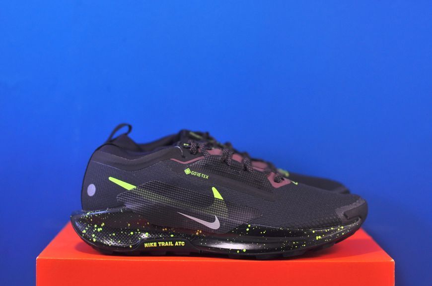 Кросівки Nike Pegasus Trail 5 Gore-Tex FQ0908-014 FQ0908-014 фото