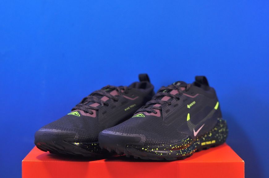 Кросівки Nike Pegasus Trail 5 Gore-Tex FQ0908-014 FQ0908-014 фото