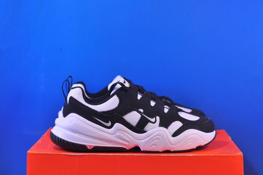 Кросівки Nike Tech Hera FJ9532-101 FJ9532-101 фото