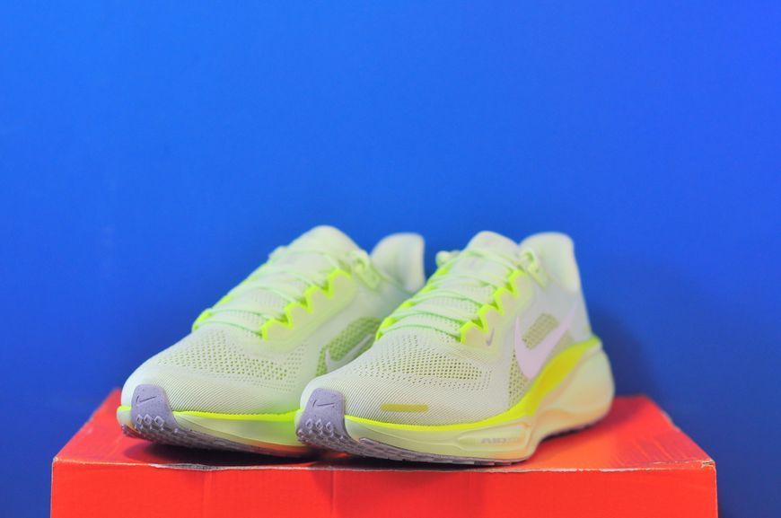 Кросівки Nike Air Zoom Pegasus 41 FD2723-702 FD2723-702 фото