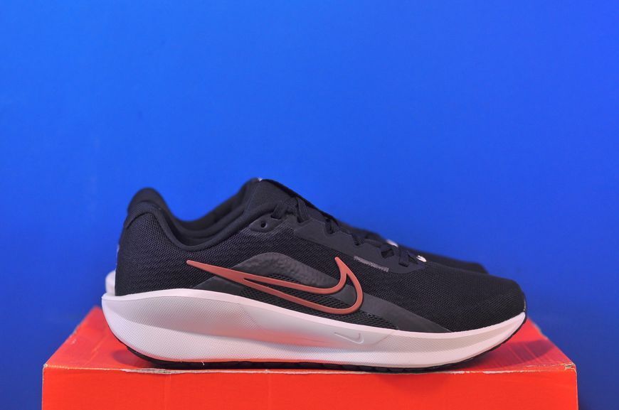 Кросівки Nike Downshifter 13 FD6476-013 FD6476-013 фото