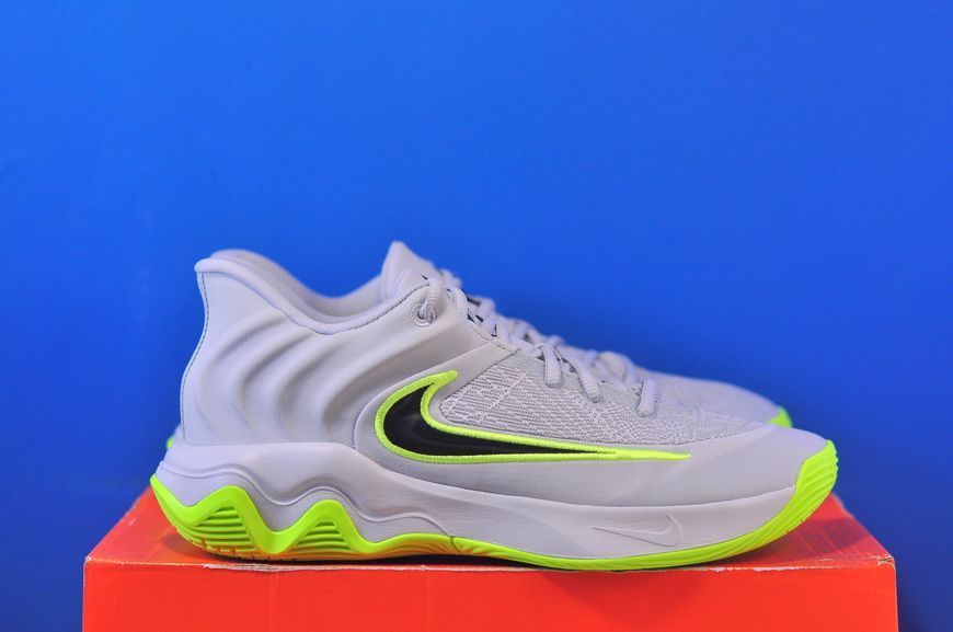 Кросівки Nike Giannis Immortality 4 FQ3680-007 FQ3680-007 фото