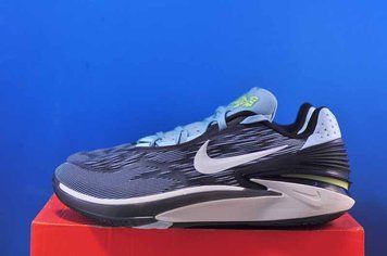 Кросівки Nike G.T. Cut 2 Grey DJ6015-302 DJ6015-302 фото