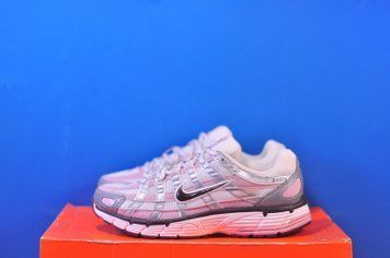 Кросівки Nike P-6000 IM6026-121 IM6026-121 фото