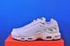 Кросівки Nike Air Max Plus White/Light Blue FN7813-001 FN7813-001 фото 1