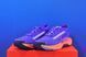 Кросівки Nike Pegasus Trail 5 Gore-Tex FQ0912-503 FQ0912-503 фото 2