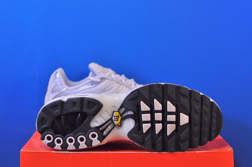 Кросівки Nike Air Max Plus White/Light Blue FN7813-001 FN7813-001 фото