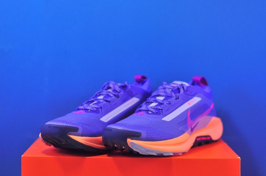 Кросівки Nike Pegasus Trail 5 Gore-Tex FQ0912-503 FQ0912-503 фото