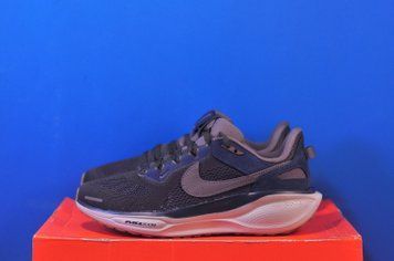 Кросівки Nike Air Zoom Pegasus 41 SP HQ6025-200 HQ6025-200 фото