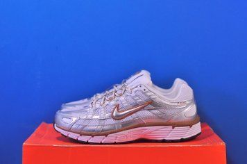 Кросівки Nike P-6000 BV1021-109 BV1021-109 фото