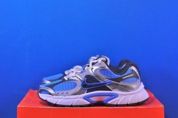 Кросівки Nike V5 Rnr Grey/Blue HQ7901-400 HQ7901-400 фото