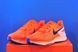 Кросівки Nike Air Zoom Structure 25 DZ3488-800 фото 2