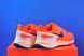 Кросівки Nike Air Zoom Structure 25 DZ3488-800 фото 3