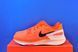 Кросівки Nike Air Zoom Structure 25 DZ3488-800 фото 1
