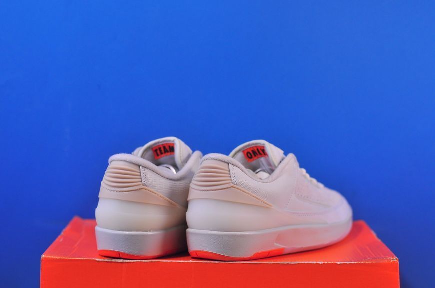 Кросівки Nike Air Jordan X Shelflife Air 2 Retro Low Sp White DV7128-110 DV7128-110 фото