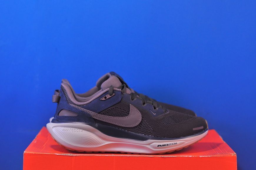 Кросівки Nike Air Zoom Pegasus 41 SP HQ6025-200 HQ6025-200 фото