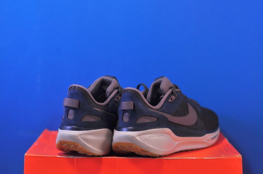 Кросівки Nike Air Zoom Pegasus 41 SP HQ6025-200 HQ6025-200 фото