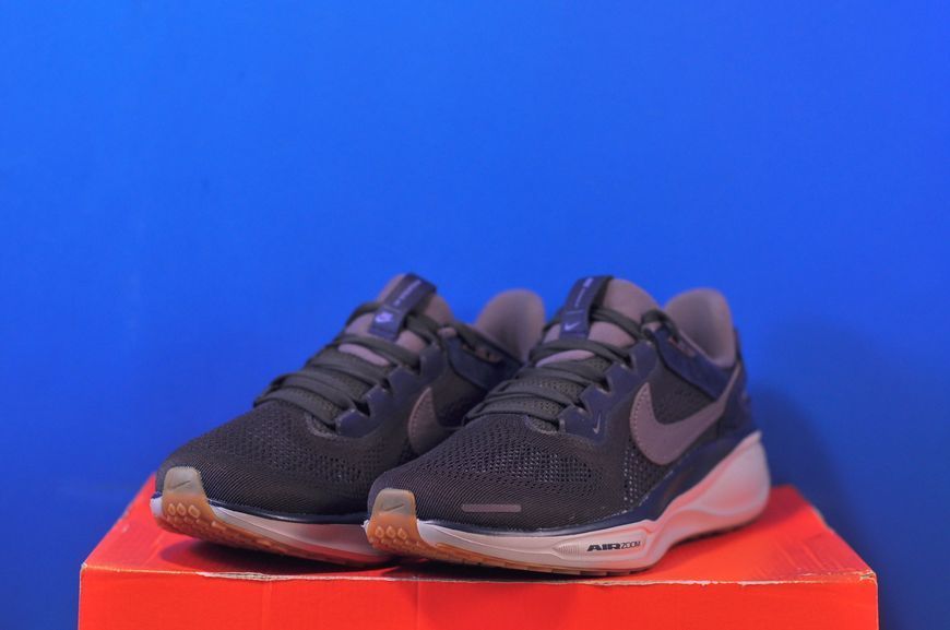 Кросівки Nike Air Zoom Pegasus 41 SP HQ6025-200 HQ6025-200 фото