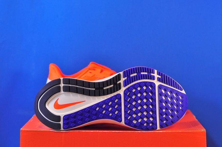 Кросівки Nike Air Zoom Structure 25 DZ3488-800 фото