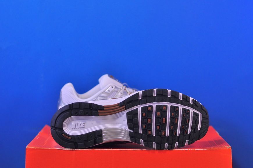 Кросівки Nike P-6000 BV1021-109 BV1021-109 фото