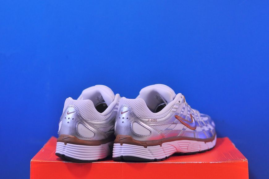 Кросівки Nike P-6000 BV1021-109 BV1021-109 фото