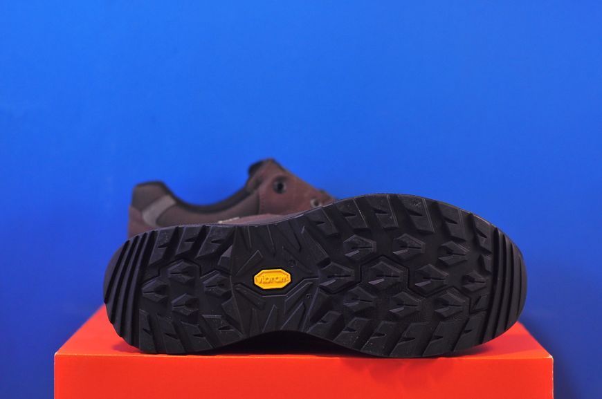 Трекінгові кросівки Lowa Renegade EVO WIDE Gore-Tex Low 7311967000 4298 7311967000 4298 фото