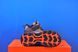 Кросівки Skechers Skech-O-Saurus 406393L BRBK 406393L BRBK фото 5