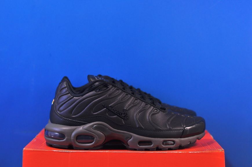 Кросівки Nike Air Max Paris Lifestyle Shoe HJ4519-200 HJ4519-200 фото