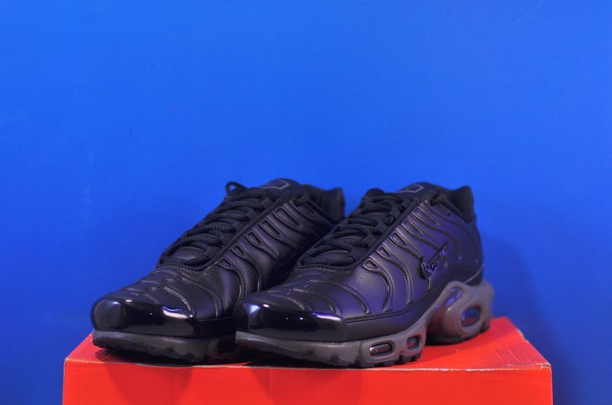 Кросівки Nike Air Max Paris Lifestyle Shoe HJ4519-200 HJ4519-200 фото