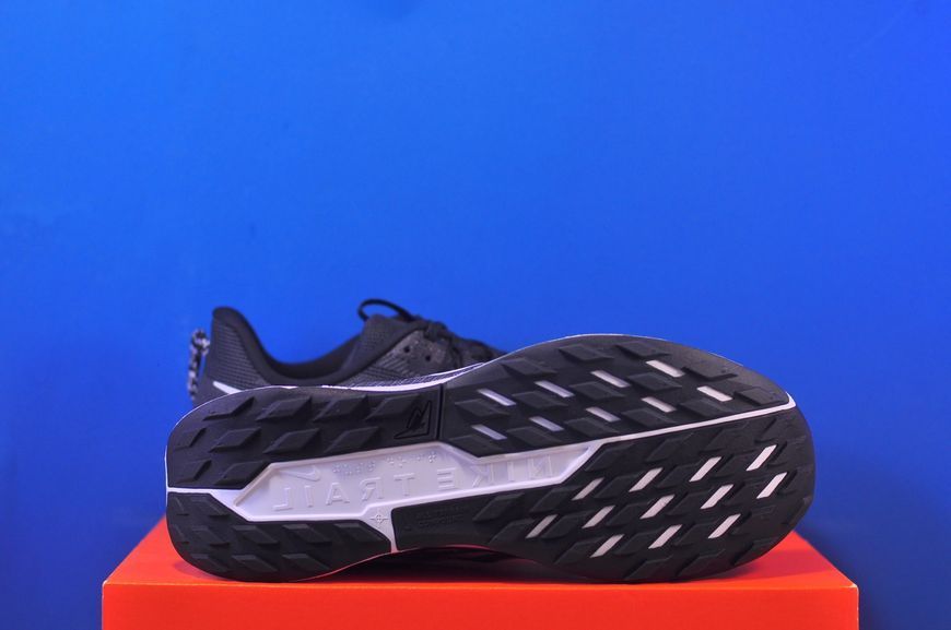 Кросівки Nike ReactX Pegasus Trail 5 DV3864-001 DV3864-001 фото