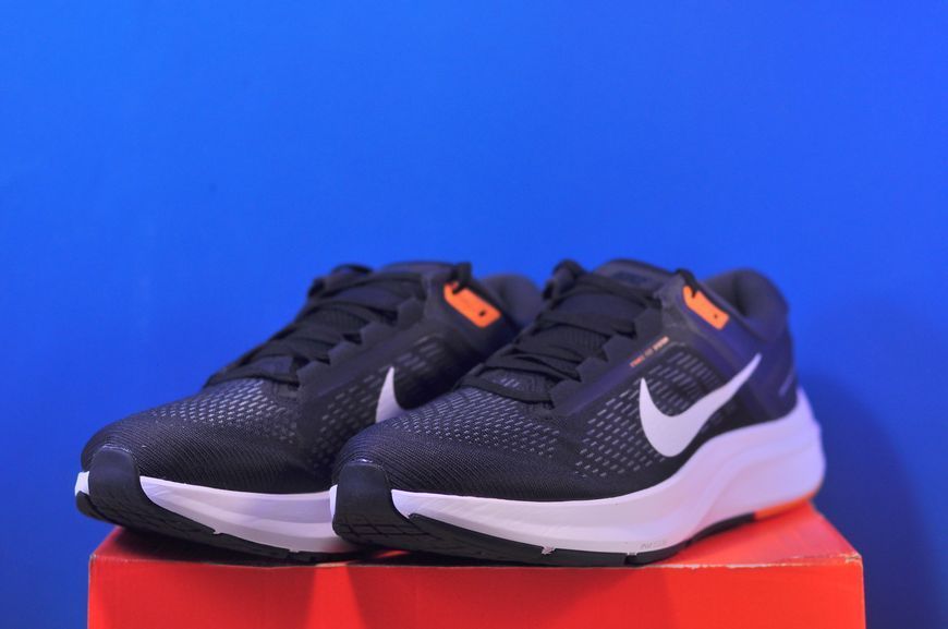 Кросівки Nike Air Zoom Structure 24 Black DA8535-003 DA8535-003 фото