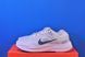 Кросівки Nike Air Zoom Structure 24  DA8570-005 DA8570-005 фото 1