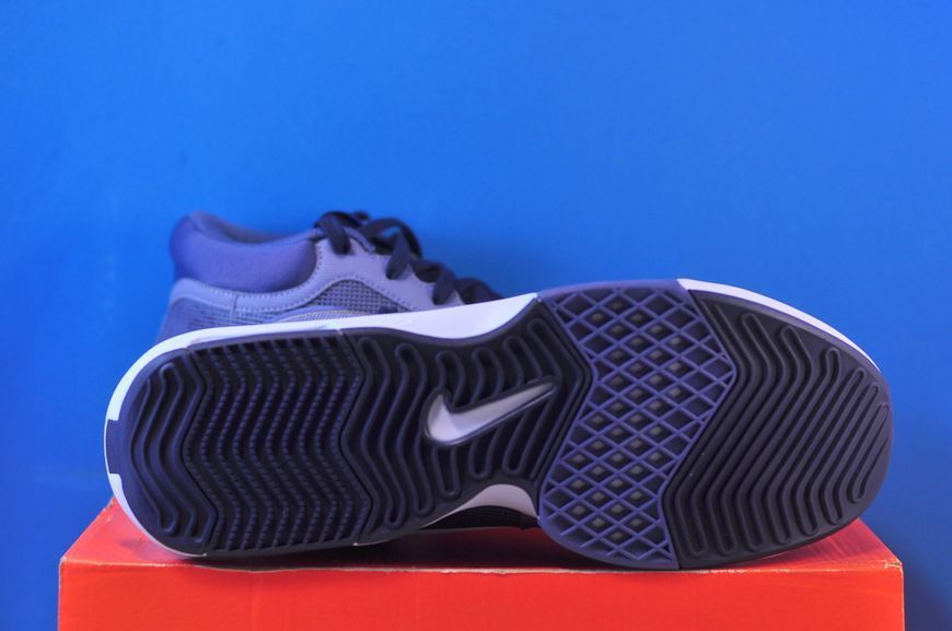 Кросівки Nike Lebron Witness Viii Blue FB2239-400 фото