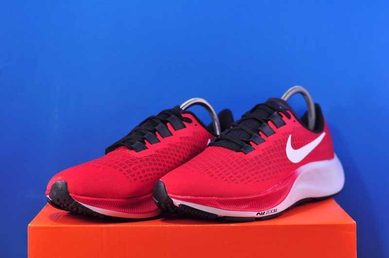 Кросівки Nike Air Zoom Pegasus 37 BQ9646-600 фото