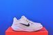 Кросівки Nike Pegasus 41 Road Running Shoes FD2723-108 FD2723-108 фото 4