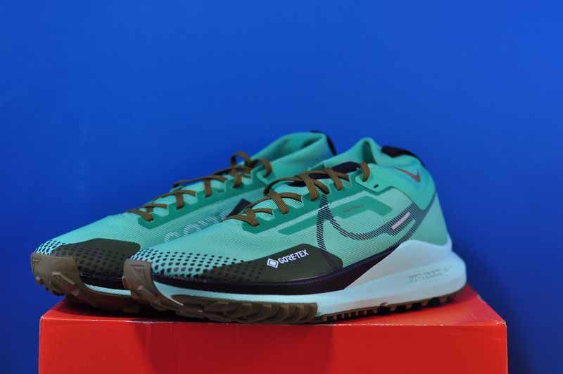 Кросівки Nike Pegasus Trail 4 Gore-Tex Turquoise DJ7926-301 DJ7926-301 фото