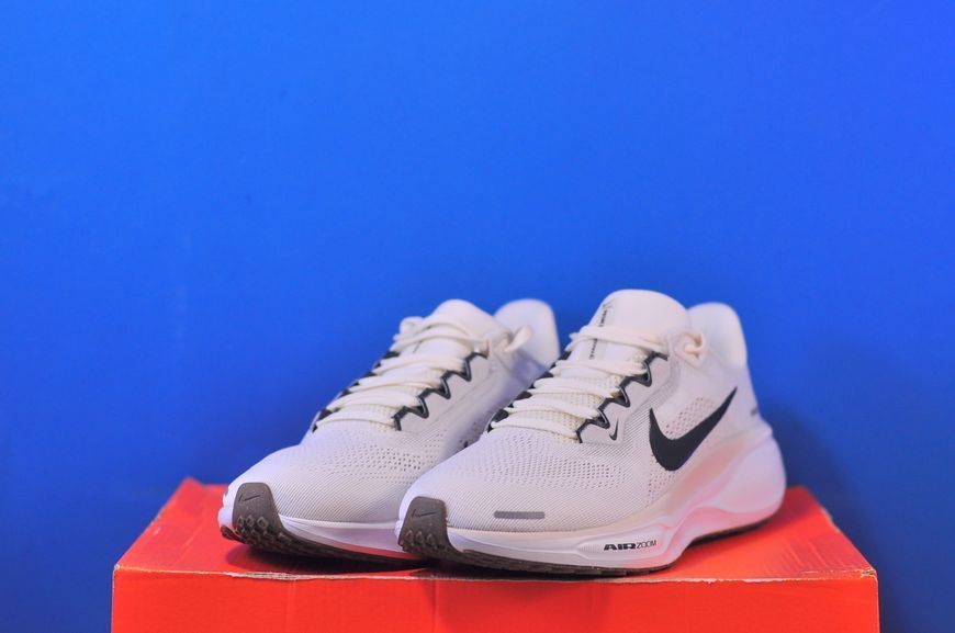 Кросівки Nike Pegasus 41 Road Running Shoes FD2723-108 FD2723-108 фото