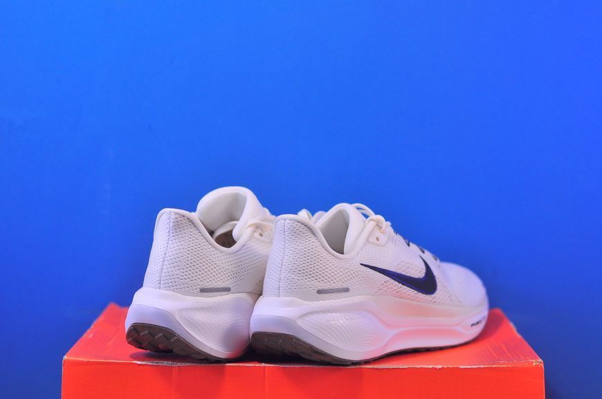 Кросівки Nike Pegasus 41 Road Running Shoes FD2723-108 FD2723-108 фото