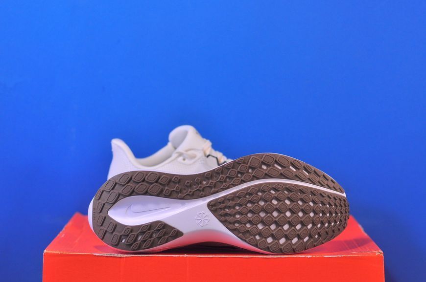 Кросівки Nike Pegasus 41 Road Running Shoes FD2723-108 FD2723-108 фото