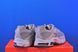 Кросівки Nike Air Max Moto 2K Ironstone IQ4924-002 IQ4924-002 фото 3