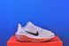 Кросівки Nike Air Zoom Pegasus 41 White FN7678-900 FN7678-900 фото 4